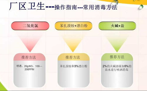 张掖市食品生产企业在疫情防控期间的卫生操作要点及品牌管理指南