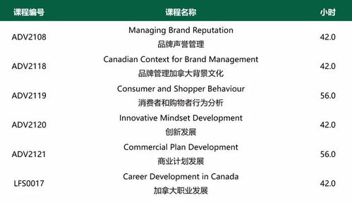 品牌的力量 亚岗昆学院新增品牌管理两年研文专业，开启职业新篇章